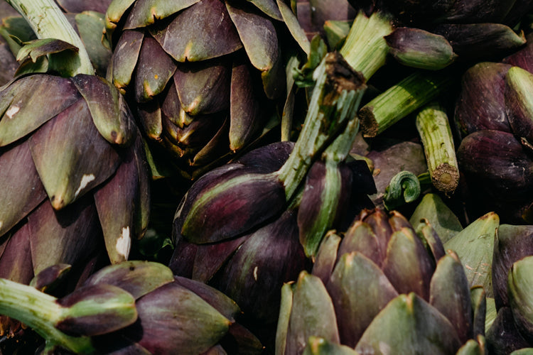 Powerpflanze Artischocke