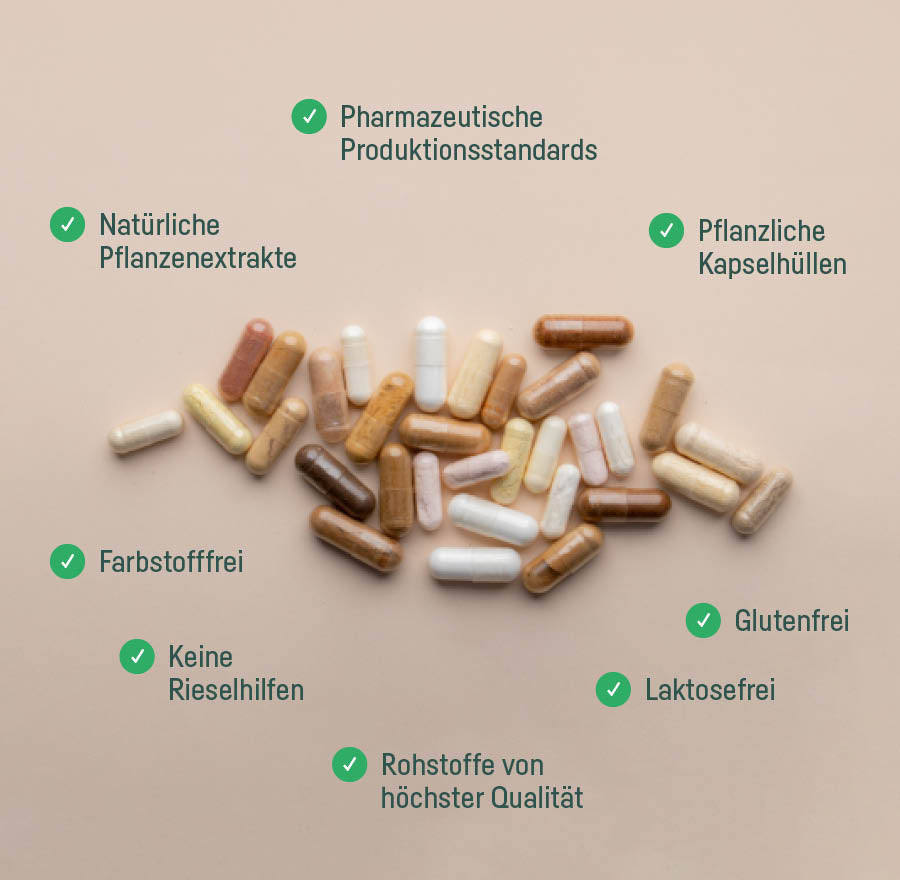 Kapseln mit Qualitätsmerkmalen: natürliche Pflanzenextrakte, pharmazeutische Produktionsstandards, pflanzliche Kapselhüllen, glutenfrei, laktosefrei