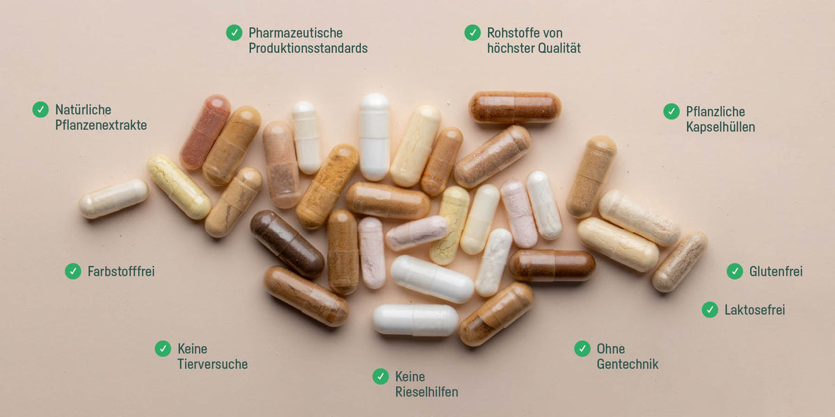 Kapseln mit Qualitätsmerkmalen: natürliche Pflanzenextrakte, pharmazeutische Produktionsstandards, pflanzliche Kapselhüllen, glutenfrei, laktosefrei