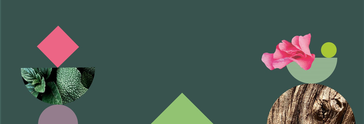 Grafik mit Naturformen, Blättern und Blüten auf dunkelgrünem Hintergrund