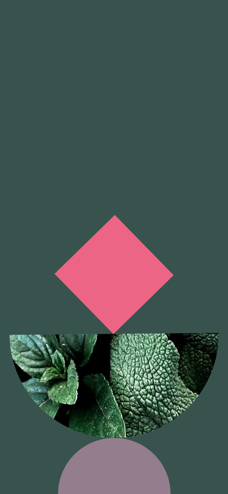 Grafik mit Naturformen und Blättern auf dunkelgrünem Hintergrund
