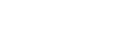 Logo BaslerIN