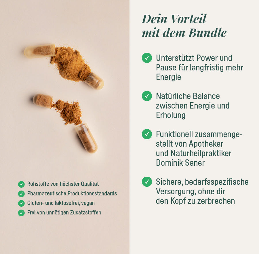 ENERGIE-BUNDLE