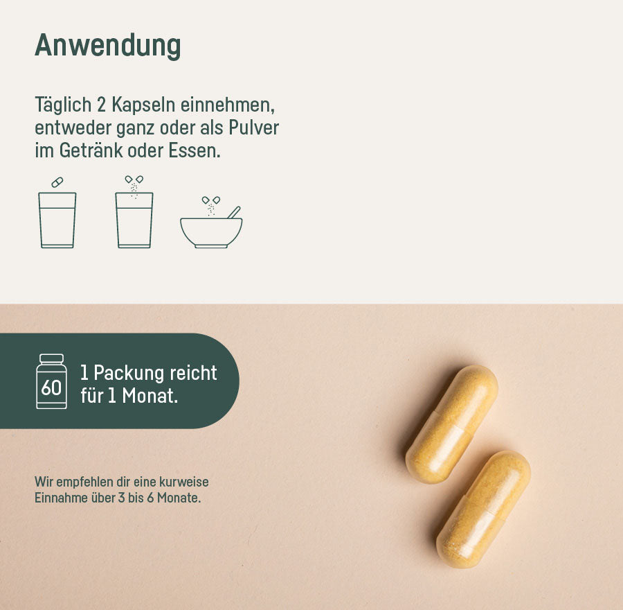 SUPPLEMENT ENZYM-KOMPLEX