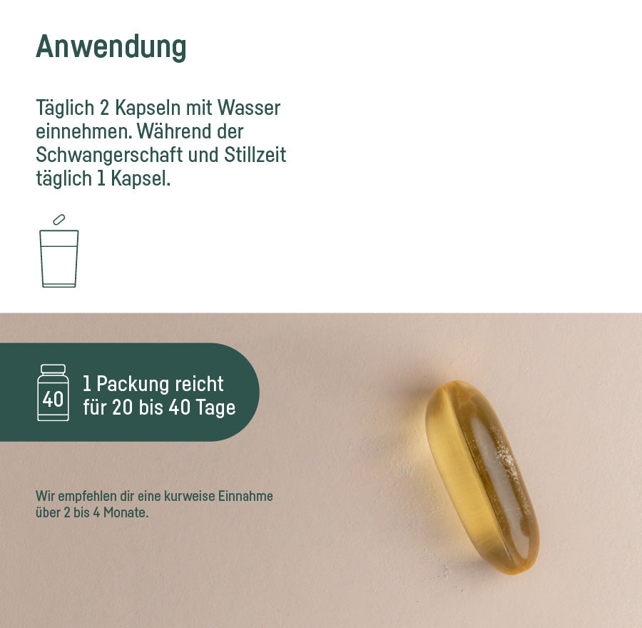 SUPPLEMENT OMEGA 3 VEGAN