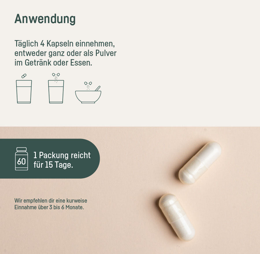 SUPPLEMENT AMINOSÄUREN
