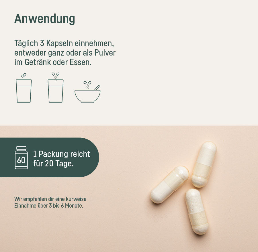 SUPPLEMENT L-LYSIN