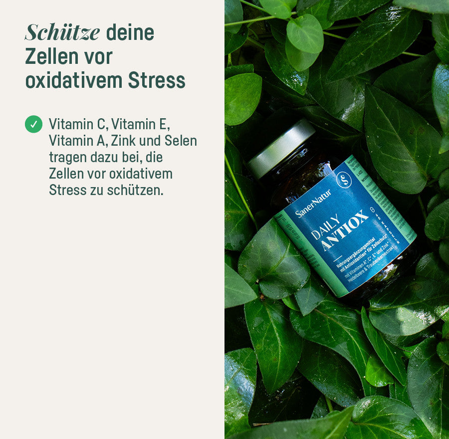 Daily Antiox – schütze deine Zellen vor oxidativem Stress, Dose zwischen grünen Blättern