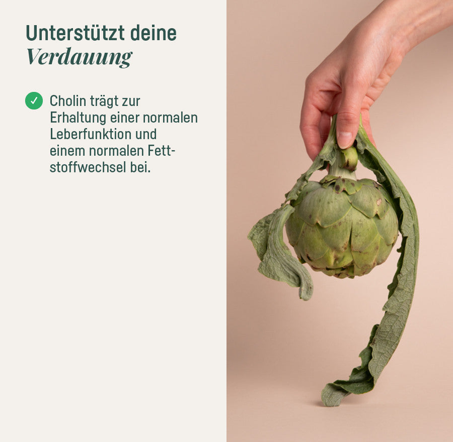 Daily Bitter – unterstützt deine Verdauung, Hand mit Artischocke