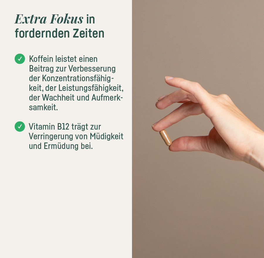 Daily Brain Focus – Extra Fokus in fordernden Zeiten, Hand mit Kapsel