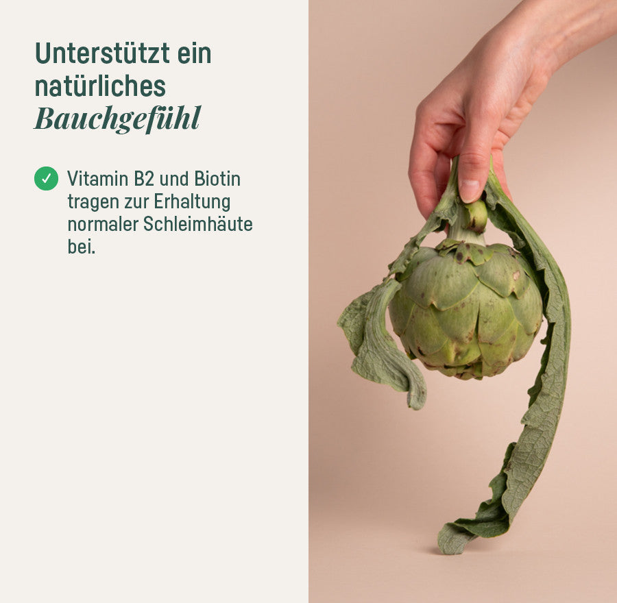 DARM-BUNDLE