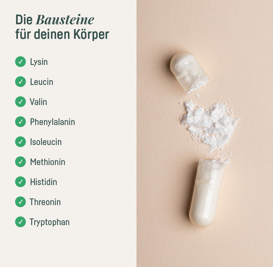 SUPPLEMENT AMINOSÄUREN