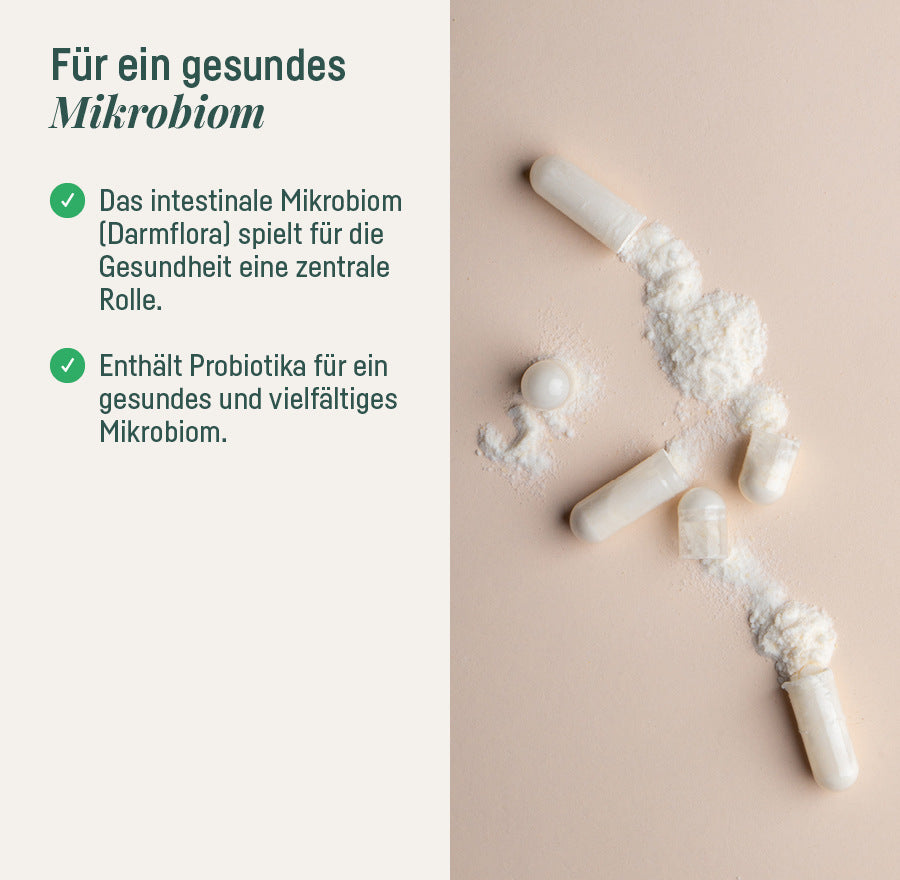 Supplement Darmflora – für ein gesundes Mikrobiom, Kapseln mit Pulver