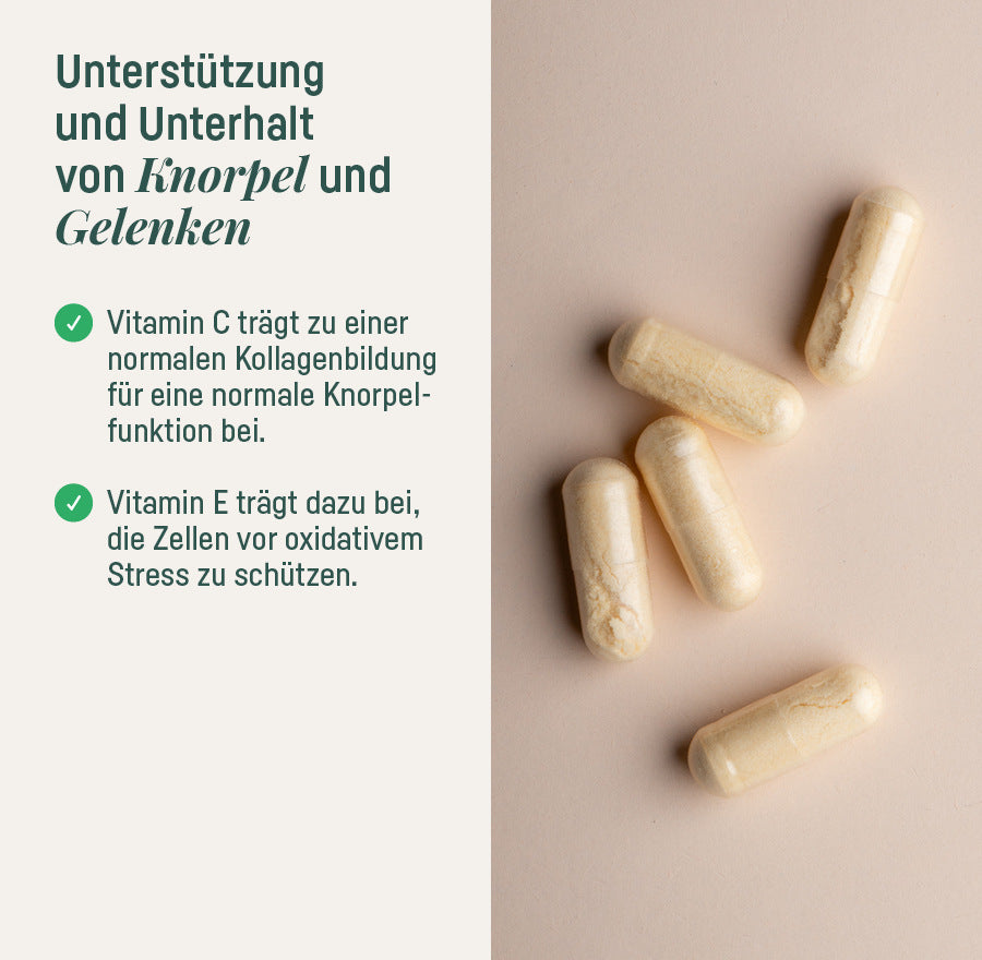 SUPPLEMENT KNORPEL