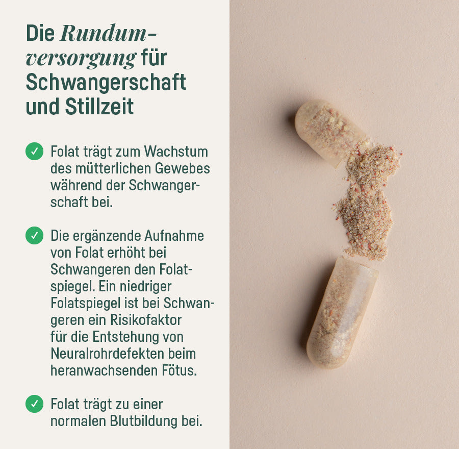 SCHWANGERSCHAFTS-BUNDLE
