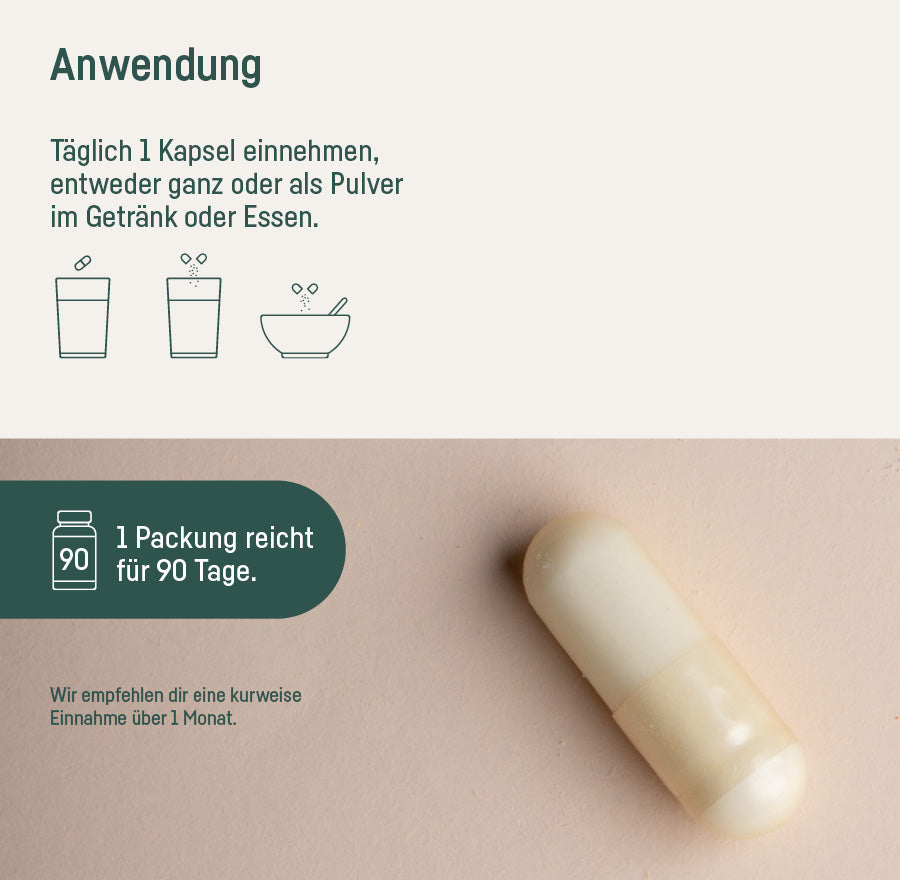 SUPPLEMENT ZINK PLUS