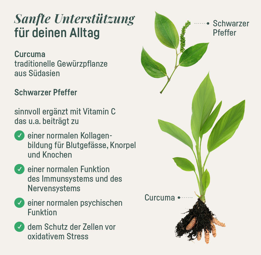 PURE CURCUMA