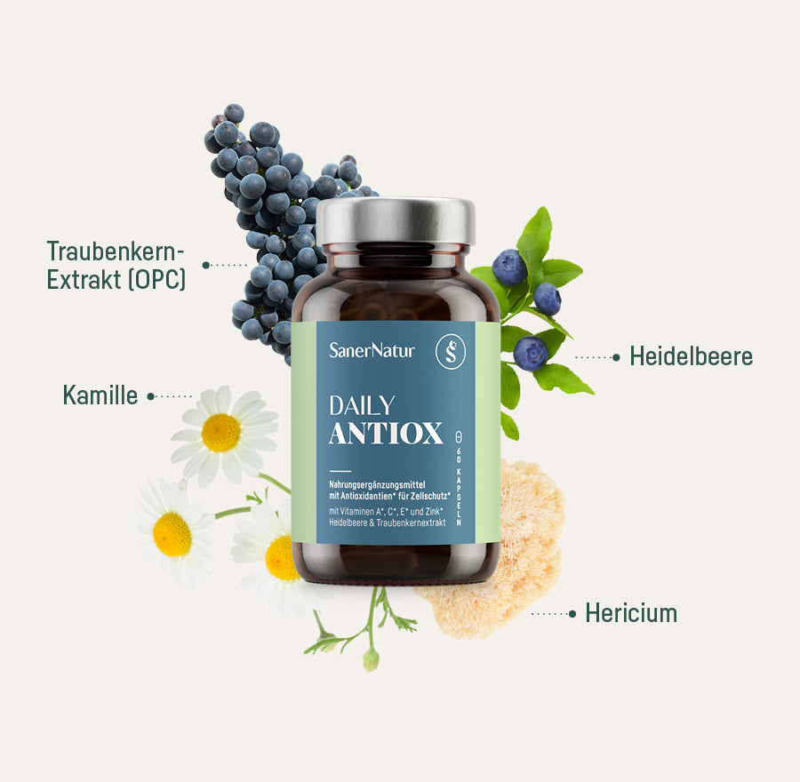 Daily Antiox – Dose mit Pflanzen: Traubenkern-Extrakt (OPC), Heidelbeere, Kamille, Hericium
