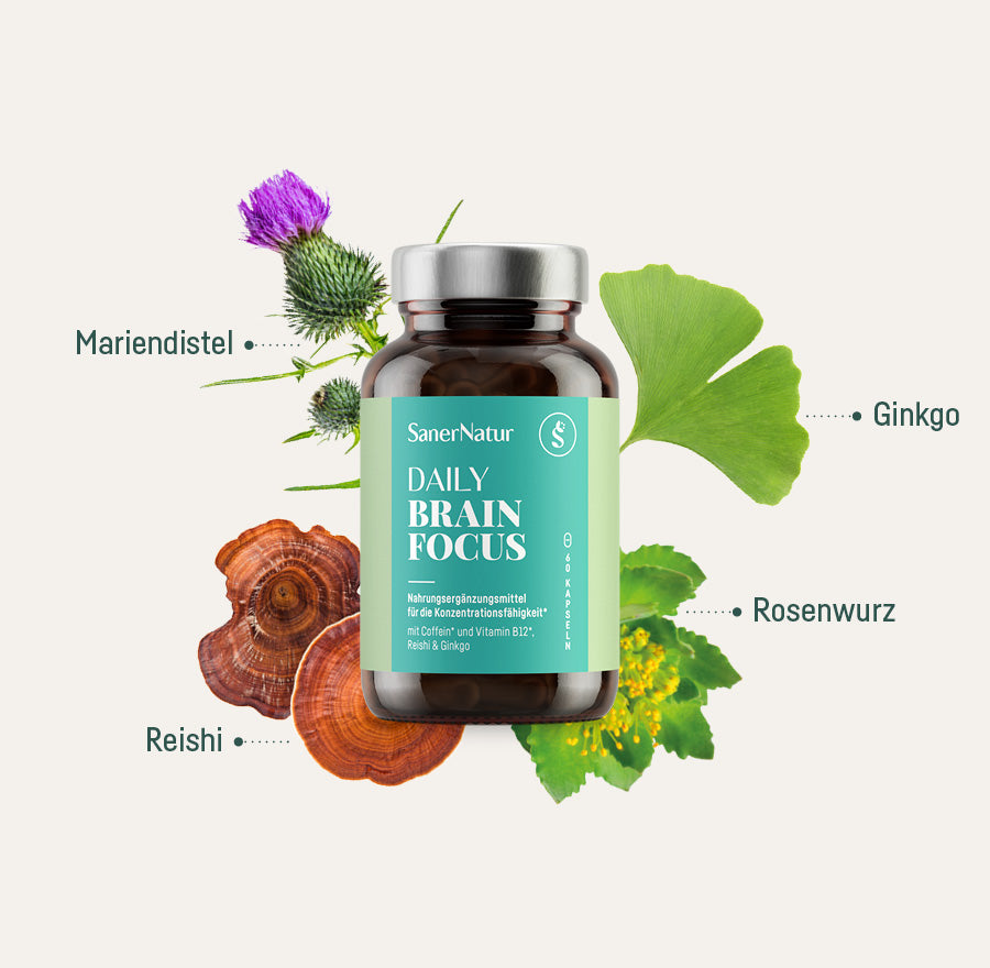 Daily Brain Focus – Dose mit Pflanzen: Mariendistel, Ginkgo, Rosenwurz, Reishi