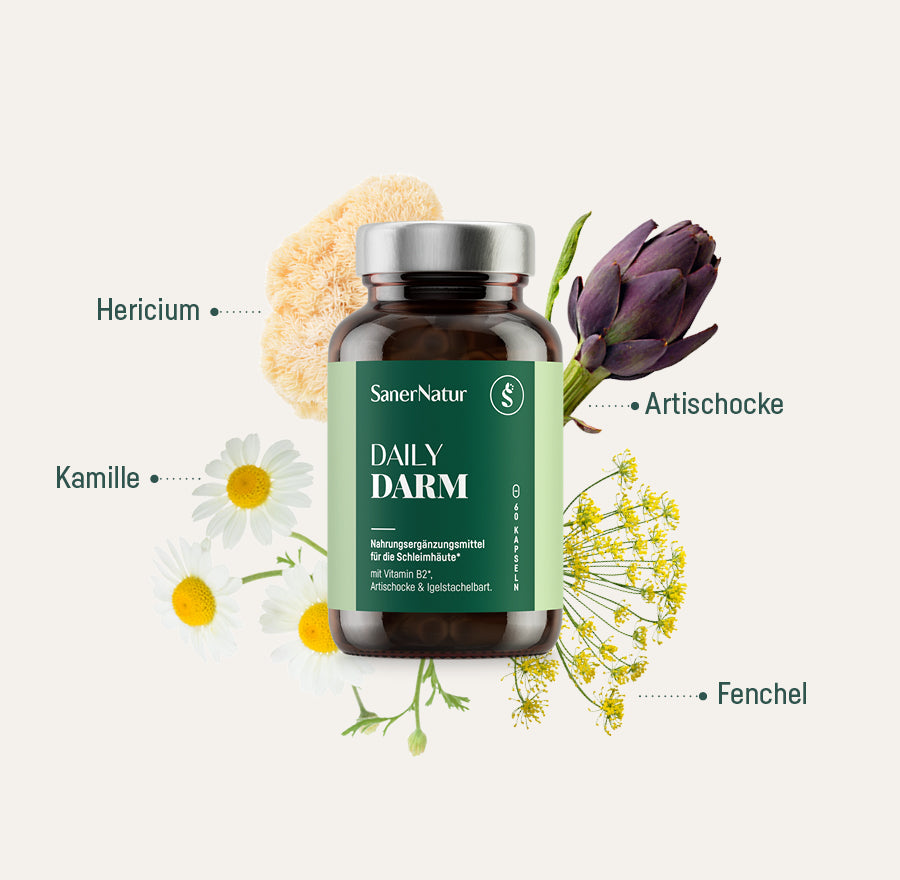 DARM-BUNDLE