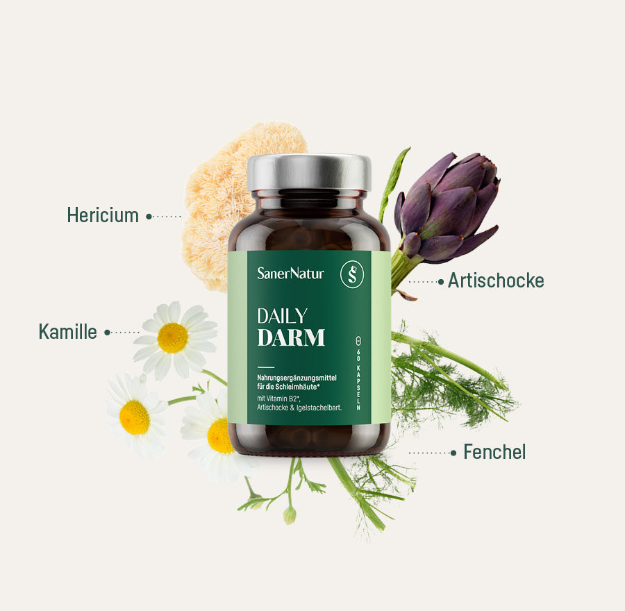DARM-BUNDLE
