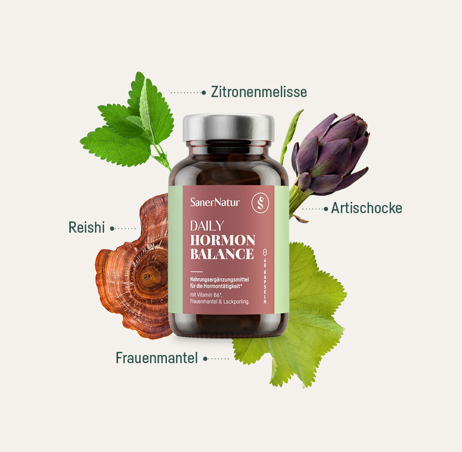 Daily Hormon Balance – Dose mit Pflanzen: Zitronenmelisse, Reishi, Artischocke, Frauenmantel