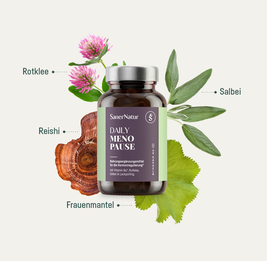 Daily Menopause – Dose mit Pflanzen: Rotklee, Salbei, Reishi, Frauenmantel