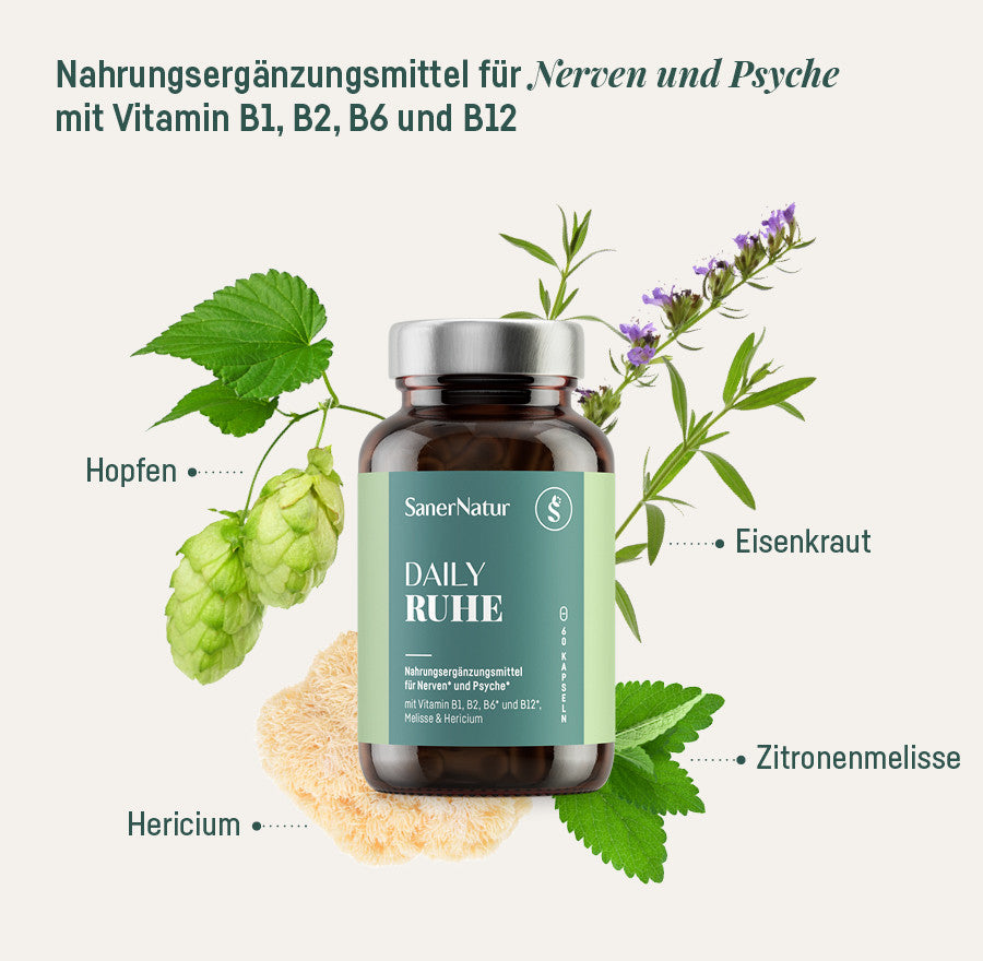 Daily Ruhe – Dose mit Pflanzen: Hopfen, Eisenkraut, Zitronenmelisse, Hericium
