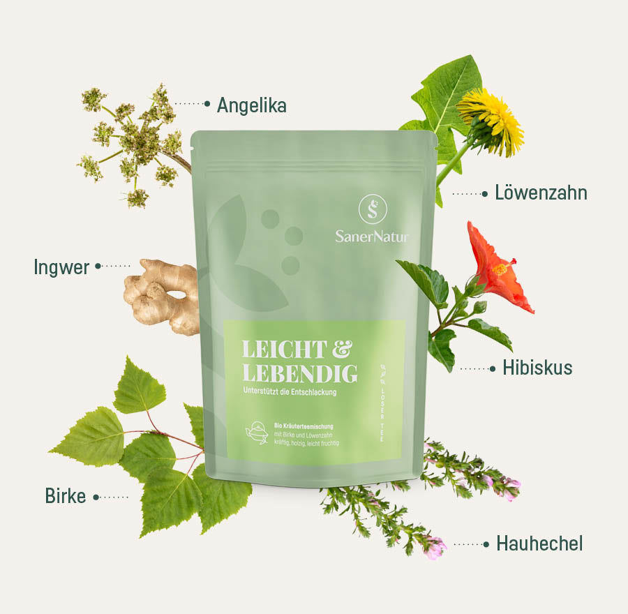 Bio-Teemischung Leicht & Lebendig – Beutel mit Pflanzen: Angelika, Löwenzahn, Ingwer, Hibiskus, Birke, Hauhechel
