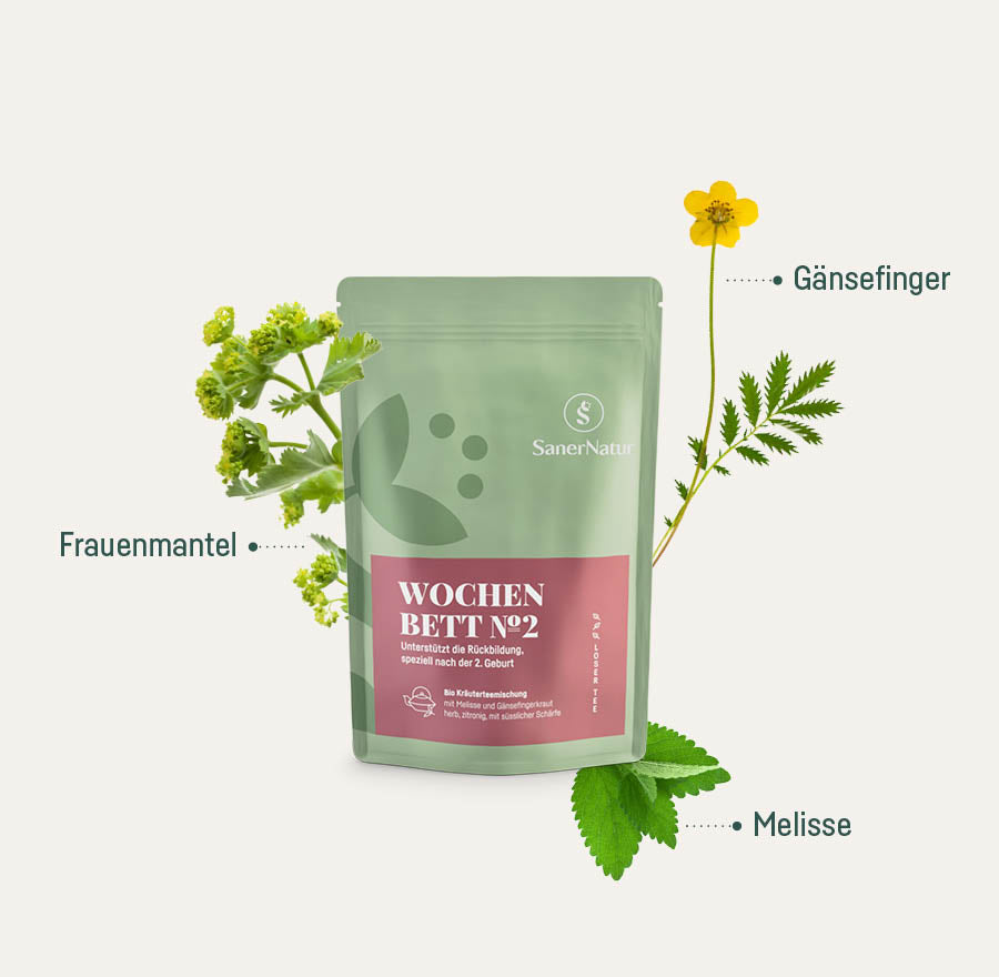 Bio-Teemischung Wochenbett No. 2 – Beutel mit Pflanzen: Gänsefingerkraut, Frauenmantel, Melisse