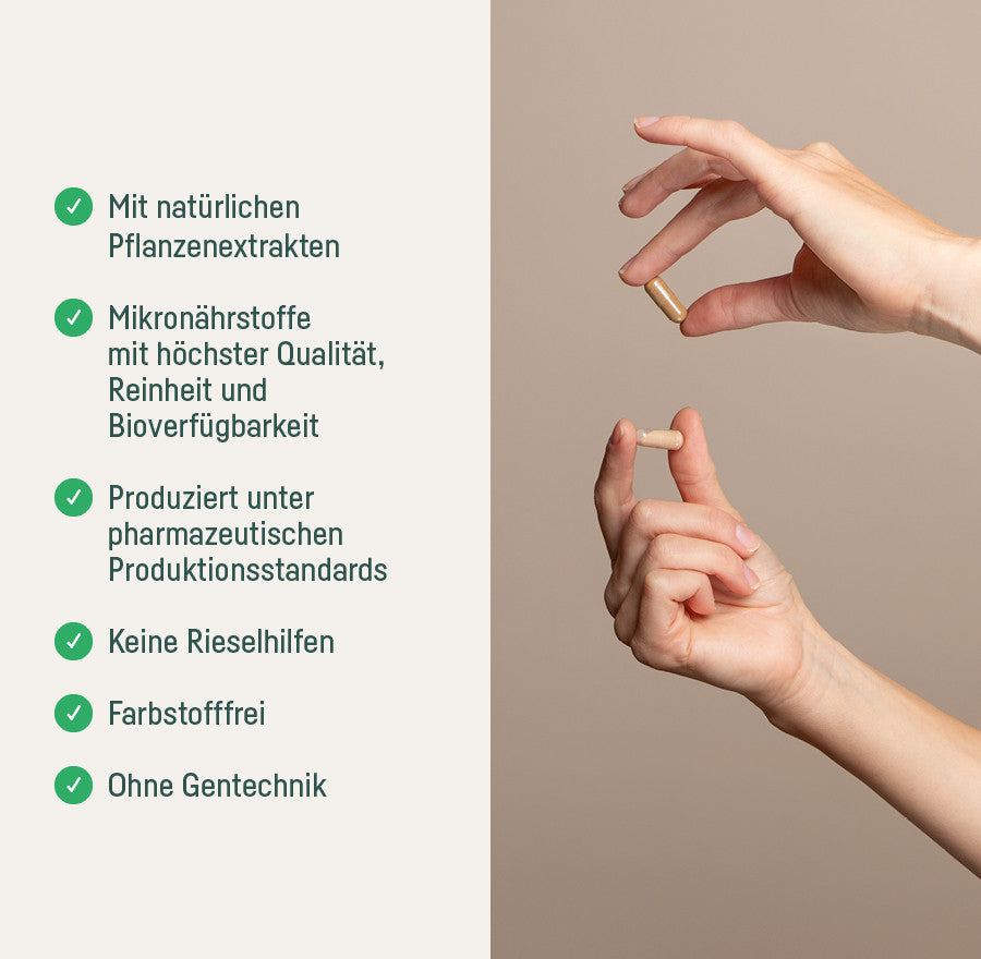Supplement Basen Mix Pulver – Qualität: natürliche Pflanzenextrakte, pharmazeutische Standards, pflanzliche Kapselhüllen