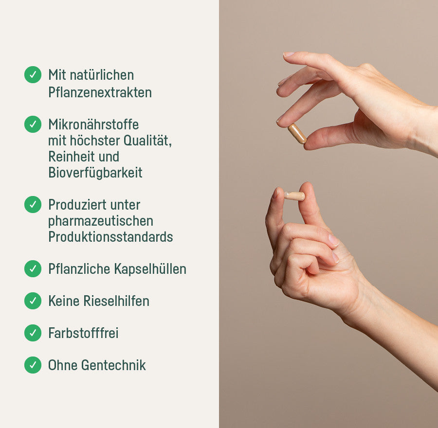 Nerven-Bundle – Qualität: natürliche Pflanzenextrakte, pharmazeutische Standards, pflanzliche Kapselhüllen