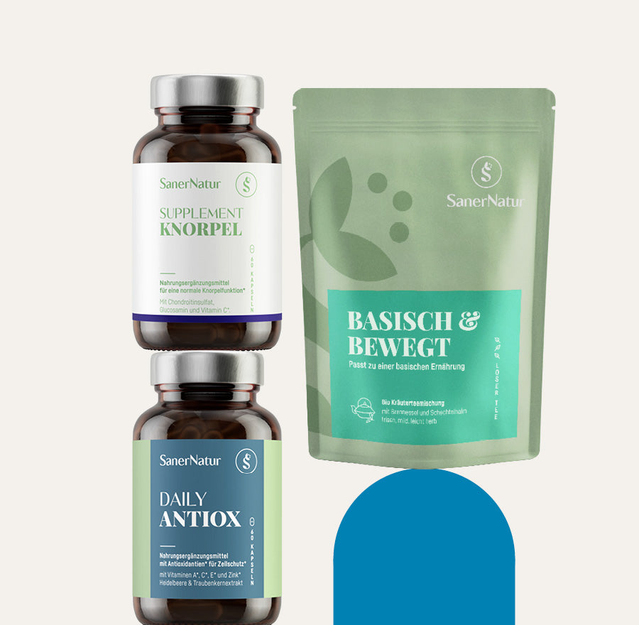 GELENKE-BUNDLE
