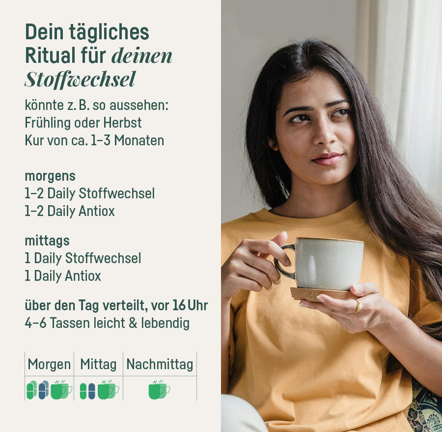 Stoffwechsel Bundle